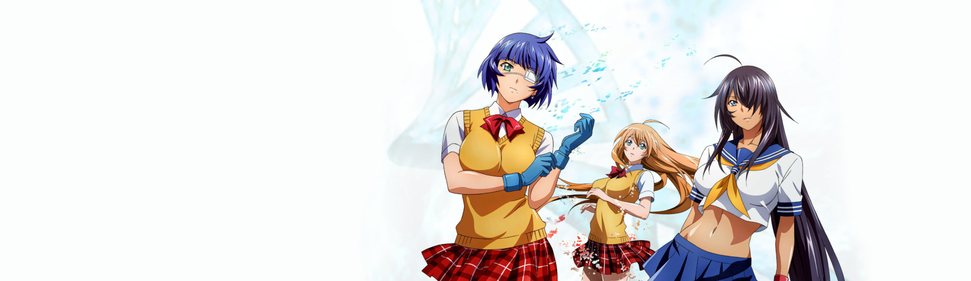Ikki Tousen: Western Wolves official artwork