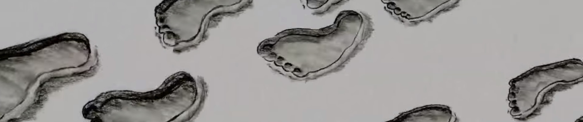 PapA official artwork