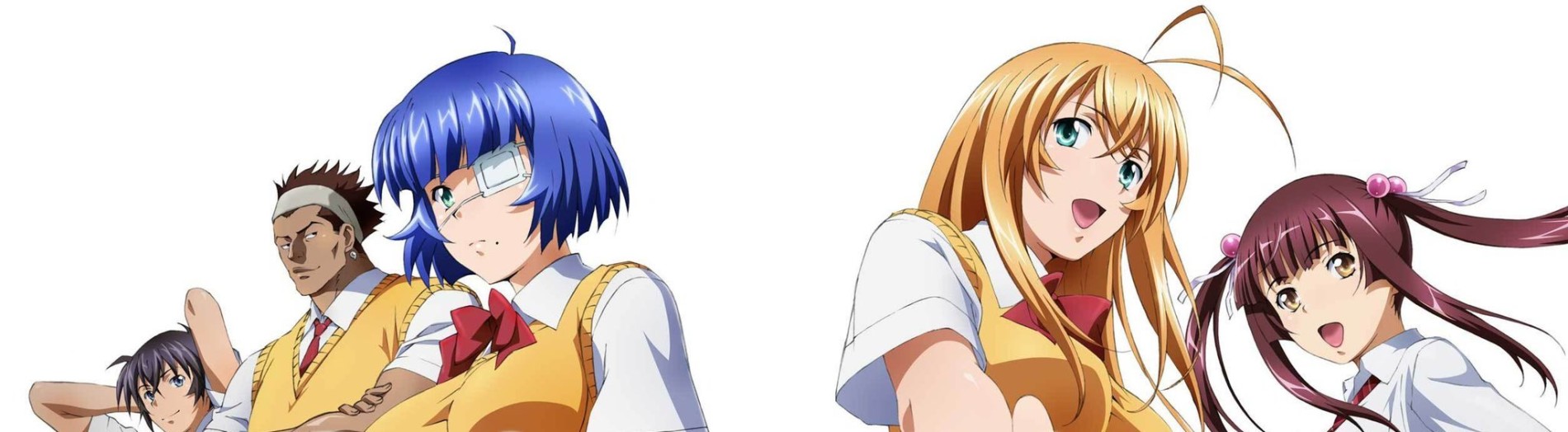 Shin Ikki Tousen official artwork