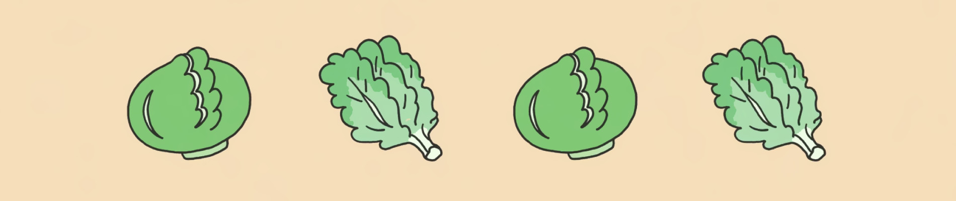 Love Veggie official artwork