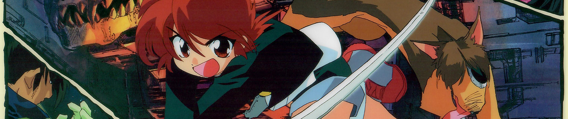 Shin Hakkenden official artwork