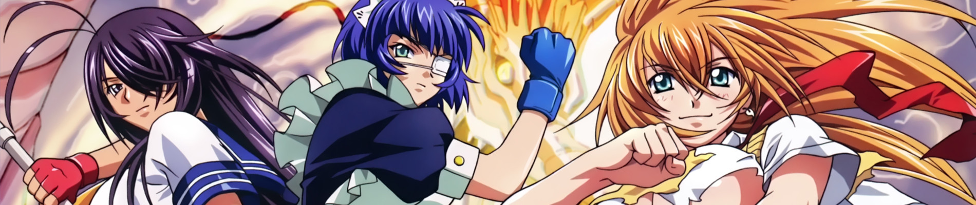 Ikki Tousen: Dragon Destiny official artwork
