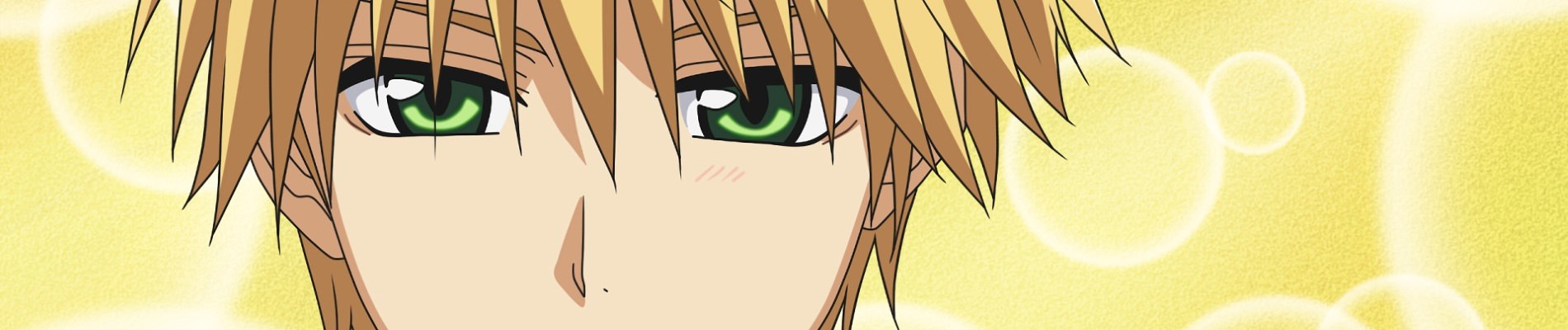 Maid-Sama! It's an extra! official artwork