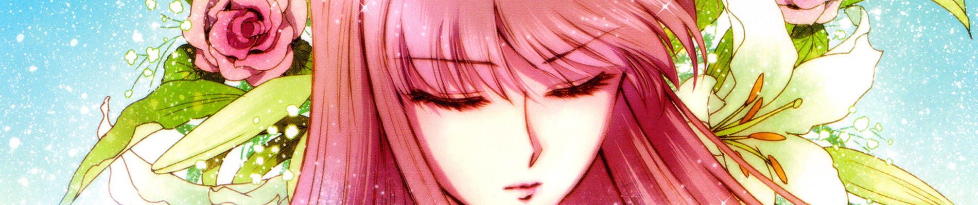 Saint Seiya Saintia Sho official artwork