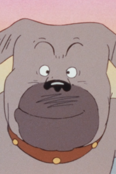 Don Matsugorou