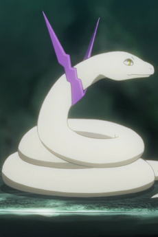Haku
