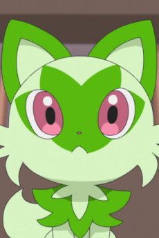Nyahoja