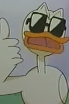 Duck Nicholson