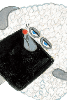 Onigiri Boy