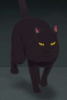 Nora Neko