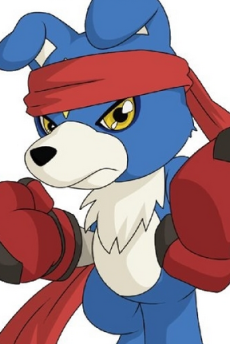 Gaomon
