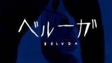 Beluga cover art