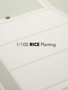 1/100 Rice Planting cover art