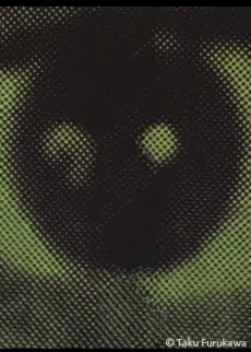 Nice to See You cover art
