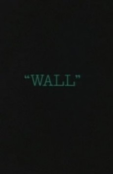 WALL cover art