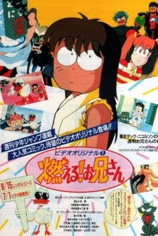 Moeru! Onii-san (OVA) cover art