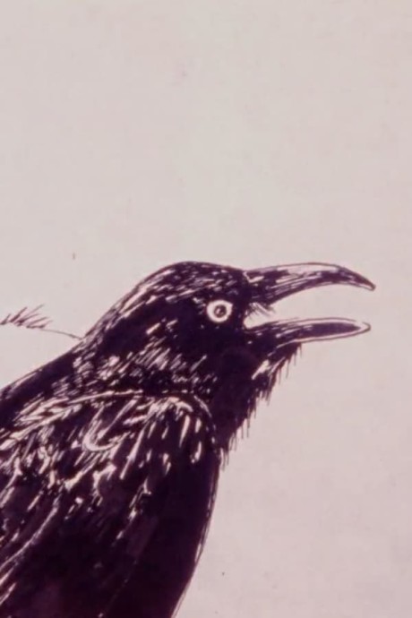 Karasu cover art
