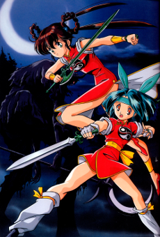 Devil Hunter Yohko cover art