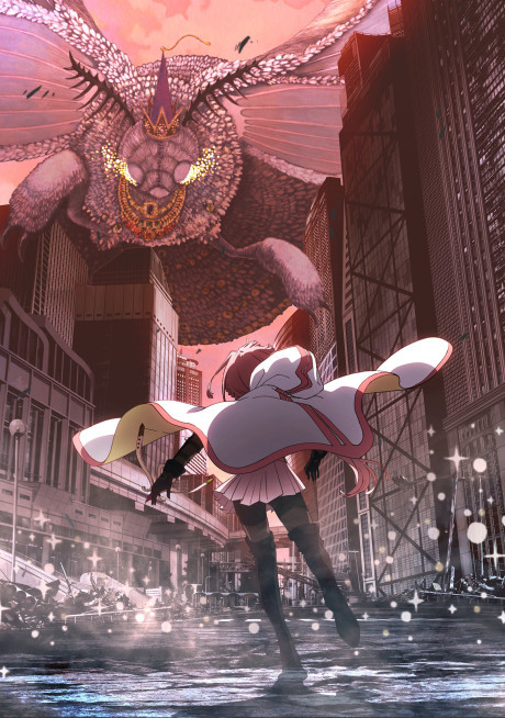 Magia Record: Puella Magi Madoka Magica Side Story Final Season -Dawn of a Shallow Dream- cover art