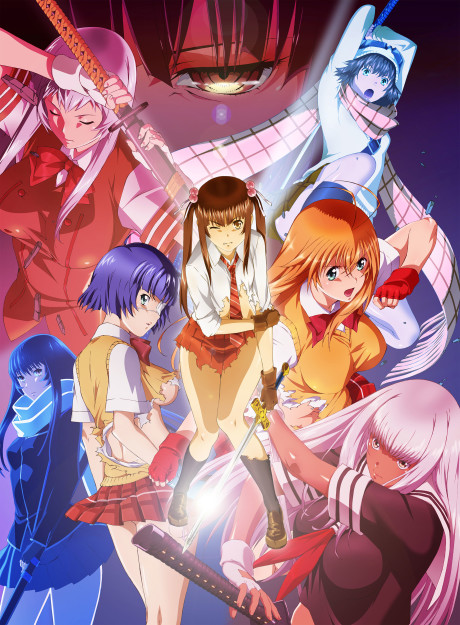 Shin Ikki Tousen cover art