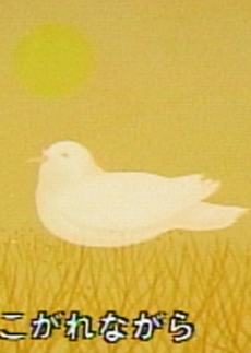 Hato no Uta cover art