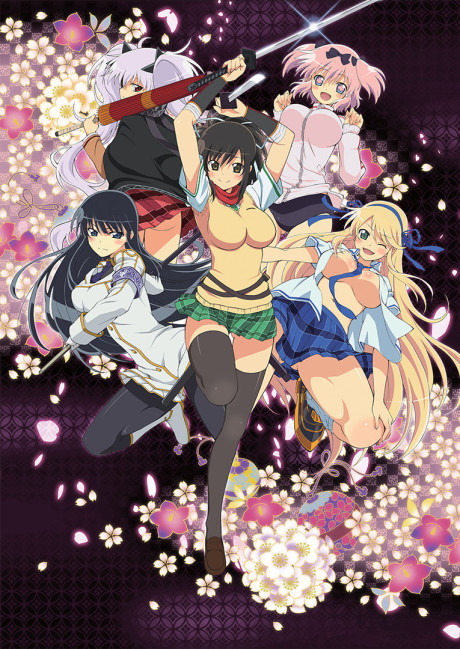 Senran Kagura: Ninja Flash! cover art