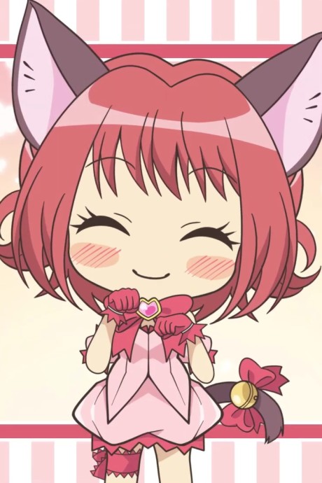 Petit! Tokyo Mew Mew New~♡ cover art