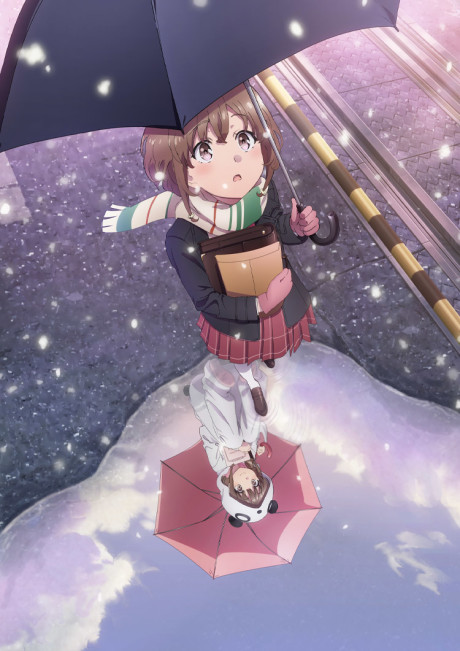 Rascal Does Not Dream of a Sister Venturing Out cover art