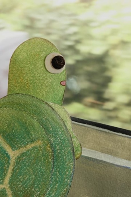 Turtle's Stroll cover art