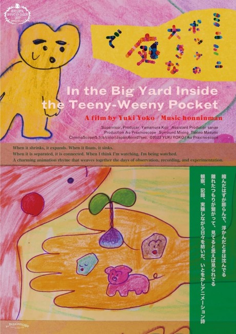 In the Big Yard Inside the Teeny-Weeny Pocket cover art