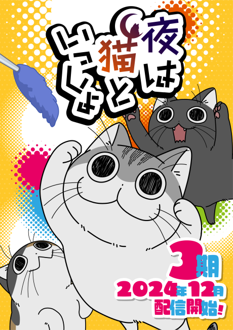 Nights with a Cat Season 3 cover art