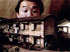 Box Age cover art