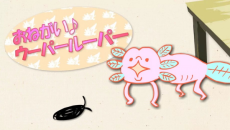 Oh! Wooper Looper cover art