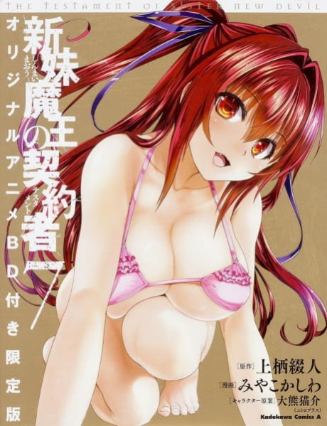 The Testament of Sister New Devil BURST: Tojo Basara’s Perfectly Peaceful Daily Life cover art