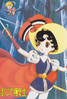 Princess Knight cover art