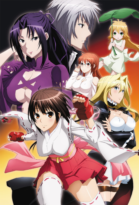 Sekirei: Pure Engagement cover art