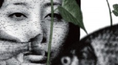 Nisou no Kuzu cover art