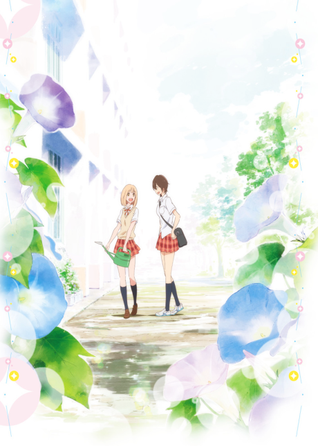 Your Light: Kase-san and Morning Glories cover art