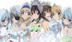 IS: Infinite Stratos 2 - Infinite Wedding cover art