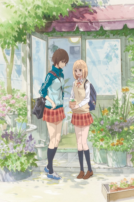 Kase-san and Morning Glories cover art