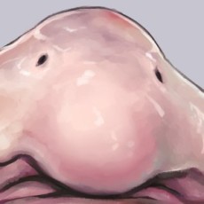 Nujima