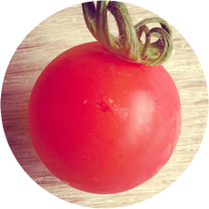pomodorosa