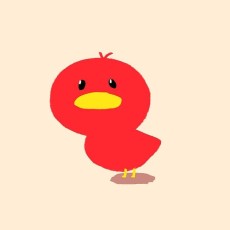HONGDUCK
