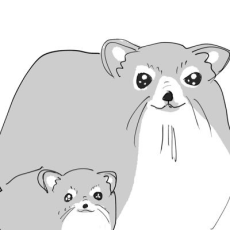 Nyaoponu