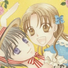 Tachibana Higuchi